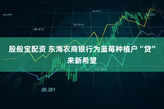 股般宝配资 东海农商银行为蓝莓种植户“贷”来新希望
